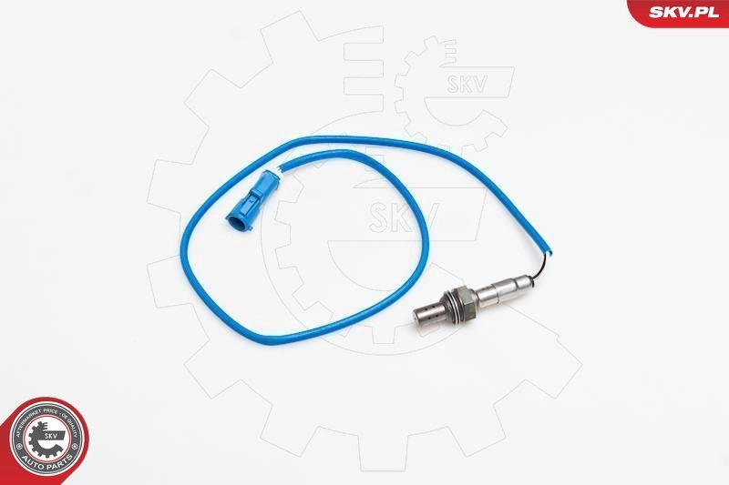 Oxygen Sensor